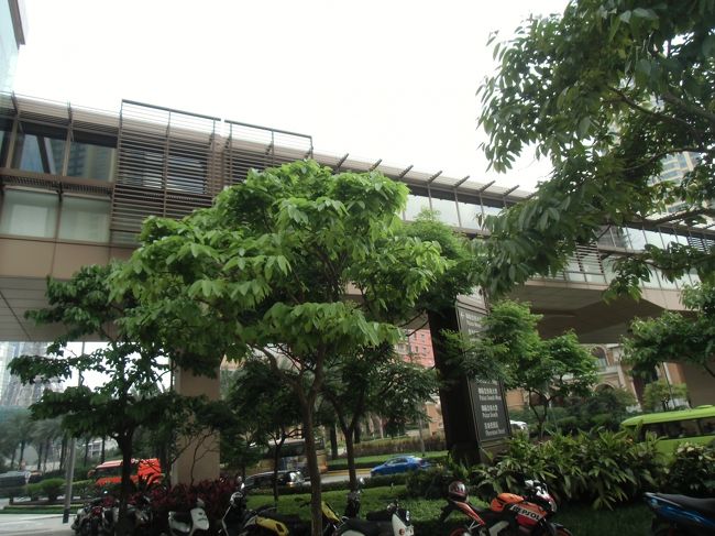 これを渡ってベネチアンまで行くことができる