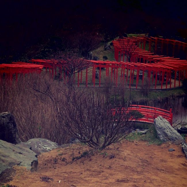 なんかこの沢山の鳥居たちがすごいとの触れ込みだったので、若干遠いけど絶景・珍景マニアの私としてはせっかくのチャンスとばかりに立ち寄ったのです。