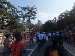 位置関係が全然把握できていませんが、春日大社前を通過しているようです。