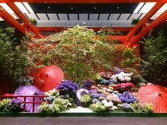 日本はちょうど梅雨の時期、そしてアジサイの時期。
羽田空港内はアジサイの花でいっぱいだった。

アジサイを見て、「おはな」と言い、葉っぱを見て「はっぱ」と言う姫を見て、母も驚いていた。
去年見た時は、話すことも、歩くことも出来なかったから、当然だ。