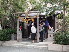 水天宮から、目と鼻の先、
5番目　茶ノ木神社　布袋様　水天宮から190m
ここは無人の神社です。水天宮に近いからか、参拝する方が多いです。
江戸時代、佐倉城主堀田家の中屋敷に祀られていたお稲荷さんで、お屋敷の周りはお茶の木が植えられていたので、お茶ノ木さまと親しまれていたそうです。

お正月の期間だけ、有人でご神体や御朱印のお世話があるそうです。
