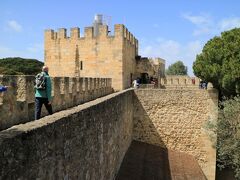 塔の回りを巡回できる。