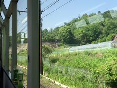 ホテル最寄りの蹴上駅から出町柳駅へ行き叡山電鉄で終点手前の貴船口駅へ
だんだんとのどかな景色になり、細かい路地やお寺しか知らない京都の景色とは全く異なり新鮮でした。