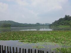 黒羽から那須町経由で福島県白河市南湖公園です。
お団子が有名です。