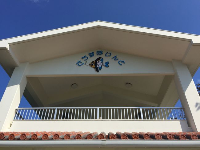 いつもお世話になるダイビングショップはさうすぽいんとさん<br />とっても寒い日が続いていたのですがこの日はいいお天気<br />日差しが温かい。