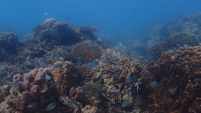 寒かったけど日差しがあったので何とか頑張れました