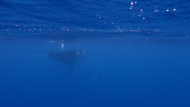 大体１０枚くらいいたかな〜<br />しかもみんなお食事中で