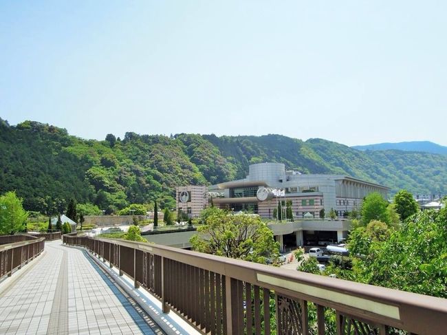 ことの起こりは、4歳の長男が、隕石と恐竜にとても興味を持ち始めたこと。<br />恐竜の滅亡に関する、巨大隕石衝突説をどこかで仕入れ、その両方にともに興味を覚えたらしく……。<br />どちらかというと、隕石のほうに、よりご執心……。<br />4歳男児として、恐竜に惹かれるのはいたってノーマルだけれど、隕石って……笑。<br />うちの息子、おもしろいわあ……と思いつつ、隕石はむつかしいけれど、恐竜の骨格標本見せてあげたいな、夫は仕事が忙しい時期で休めないけれど、ゴールデンウィークだし、どこかの博物館に連れて行ってあげたいな、上野の博物館はこの時期はめちゃくちゃに混んでいるだろうしなあ……と考えていたら、以前友人から、「幼子を連れて行くのには、とってもよい博物館が小田原にあるよー」と教えてもらい、いつか行ってみたいと思っていた、地球博物館の存在を思い出した。<br /><br />調べてみると、恐竜の骨格標本があるのはもちろんのこと……ななななんと！！<br />本物の隕石が多数展示されていて、しかも触れるとのこと！！！<br />ほ、本当ですかーーー！！！？？？<br />これほどまでに今のうちの息子のニーズにそくした博物館が他にあるだろうか？！いや、ない！！<br />と言うことで、即決とあいなったのです。<br /><br />小田原で登山鉄道に乗り換え、車窓からの美しい新緑を楽しみながらしばし電車に揺られ、箱根湯本の一つ手前の駅、入生田で下車。<br /><br />もりもりと力強い緑のお山を背景に、駅の目の前に聳え立つ立派な建物……それが神奈川県立地球博物館。