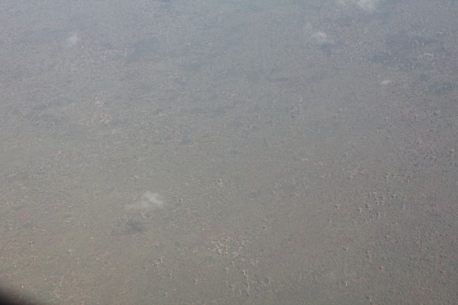 ぽつぽつとバオバブが見えてきたよ<br />左側に座るとよくみえるらしい