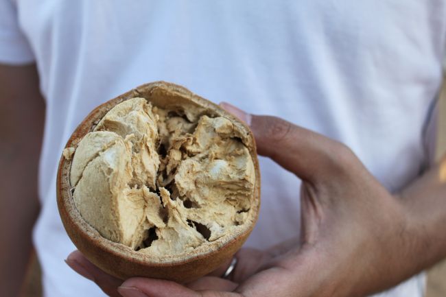 中身<br />パサつきがある中でもねっとりして少し甘みがあります