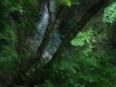 休憩を終え、さらに歩いて男滝・女滝を見ました。

わかりづらいかもしれませんが多分奥の方の滝なので男滝かな？
女滝はぶれちゃいました。