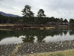 桜を満喫した後は、大芝高原内にある温泉へ。
その前に高原内にあった公園をぶらり。