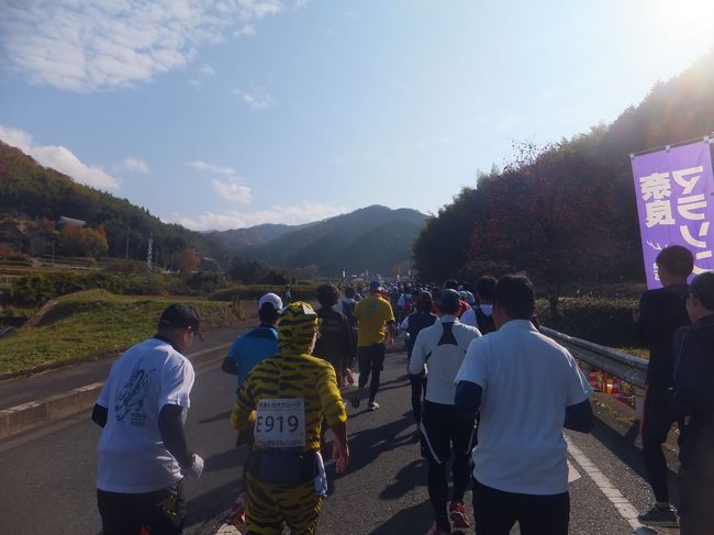 さらに先に進んでいきます。前には虎柄のコスプレランナー。