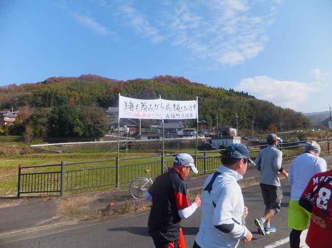 猪も茂みから応援している（らしい）です。