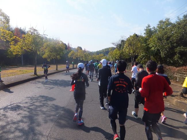 このあたりになると市民ランナーもだいぶ戻ってきました。<br />