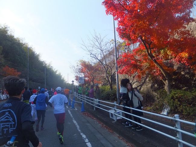 20km地点にやってきました。真っ赤な紅葉が。