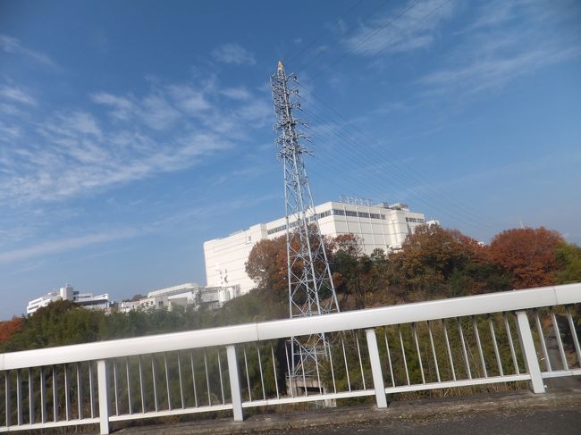 橋を渡っているとSHARPの工場が見えました。