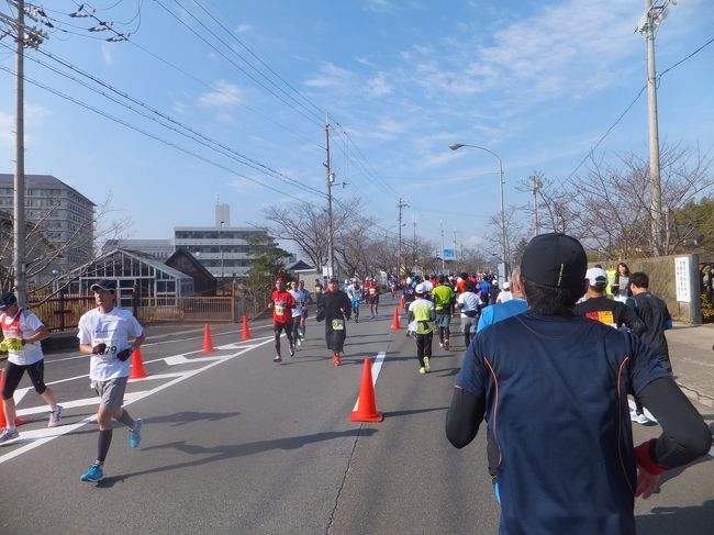 橋を越えると天理の町並みに入ります。この天理の街をグルグル回って走る（距離を稼ぐ）感じに成増。