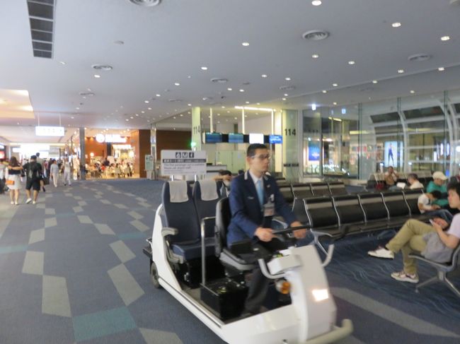 羽田空港出発ロビーには動く歩道が少なく、難儀してますがどうやらこのカートをフリーで使用できるようで、今回同行の先輩や二月に初チェンマイ体験のご婦人とお二方早速ご利用なさって目的ゲートまで移動します。