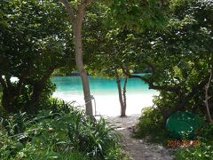 川平湾に来ました。
木々の間から見えるあの海の色！