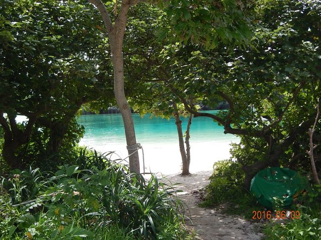 川平湾に来ました。<br />木々の間から見えるあの海の色！