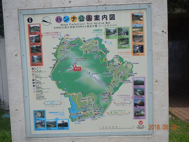 パンナ公園に寄りました。<br />石垣島中央に位置する標高230mのバンナ岳にある広大な公園です。