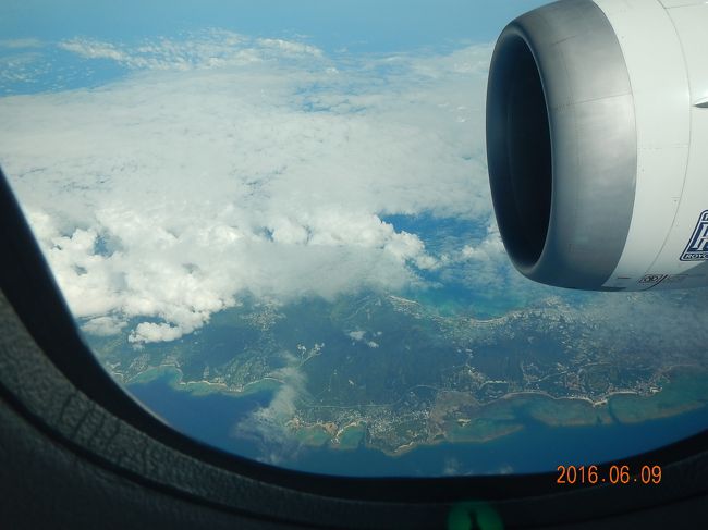 自由に生きている次男が那覇にいます。