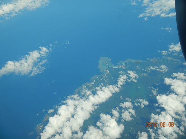 石垣島ではビーチエントリーより、ツアーで行くボートエントリーの方がお魚達にたくさん会えるような気がしました。<br /><br />気まま・・わがまま？で、実は小心者の私達はいつもビーチエントリーで楽しんでいます。<br /><br />次回はどこへ行こうか・・・行けるうちに行っておかないと！！！！<br />