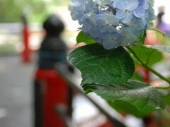 電車に乗る前は雨が降ったり止んだりな曇り空だったのに、箱根湯本駅に着いたら強烈な日差しで真夏なみの暑さ。しかも雨上がりで酷い蒸し暑さ。
駅前のあじさい橋までさらりと散策して早々に戻ることに。