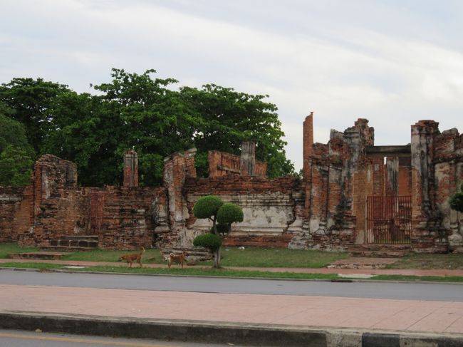 一枚だけの明るい時のアユタヤ遺跡。