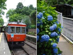 強羅駅に戻ったら強羅公園を散策しようかと話していたのだけど、あまりの蒸し暑さに断念。
であるならば、写真撮影には興味のない夫が強羅駅まで戻って車を取って来てくれる間に私だけ大平台駅で降りて写真撮影をしていてもいいって！ﾔｻｼｲｰ!