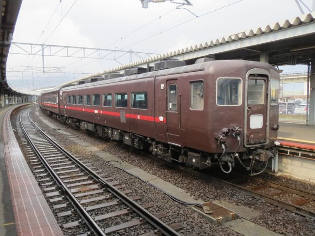 【SL函館大沼】鉄道サボ（表）函館⇔森（裏）森⇔函館 迫力の汽笛2発】さようならSL函館大沼号！C11 207号機 大沼公園