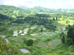 　星峠の棚田(  http://www.tokamachishikankou.jp/natural/tanada/hoshitoge/   )です。

　いつ来ても感動する場所です。