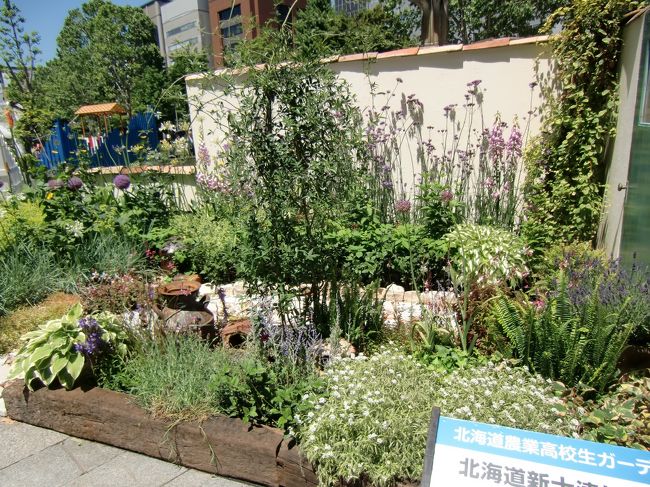 花フェスタ16札幌 札幌 北海道 の旅行記 ブログ By Mzwさん フォートラベル 花フェスタ16札幌 札幌 北海道 の旅行記 ブログ By Mzwさん フォートラベル