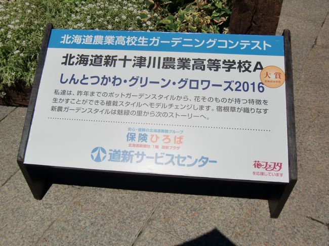 花フェスタ16札幌 札幌 北海道 の旅行記 ブログ By Mzwさん フォートラベル 花フェスタ16札幌 札幌 北海道 の旅行記 ブログ By Mzwさん フォートラベル