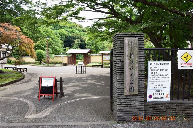 東京散策52 めざましtvでお馴染みの紙兎ロペ背景と新江戸川庭園 椿山荘 目白 東京 の旅行記 ブログ By Jh2fxvさん フォートラベル