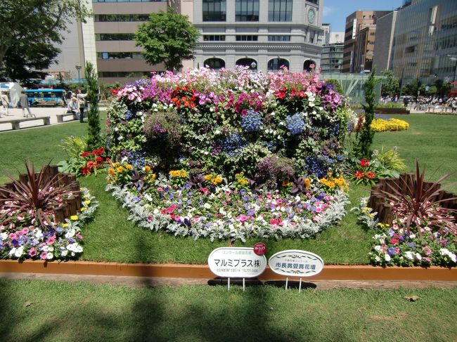花フェスタ16札幌 札幌 北海道 の旅行記 ブログ By Mzwさん フォートラベル 花フェスタ16札幌 札幌 北海道 の旅行記 ブログ By Mzwさん フォートラベル