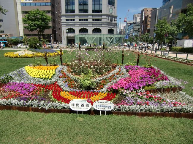 花フェスタ16札幌 札幌 北海道 の旅行記 ブログ By Mzwさん フォートラベル