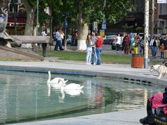 自由広場へ。

白鳥がいる池があって
