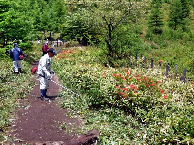 長野 湯の丸高原のレンゲツツジ 真田 東御 長野県 の旅行記 ブログ By ペコちゃんさん フォートラベル