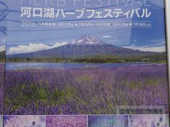 ※河口湖ハーブフェスティバルとは
河口湖の南岸の河口湖大橋近くのにあるメイン会場の八木崎公園と、その対岸の大石公園がその観賞スポット。河口湖畔に満開のラベンダーが広がり開放感のある花畑風景が楽しめる。とくに湖面からの光を受け、パープルに輝く花畑の向うに、青々しい富士を仰ぎ見る大石公園からの眺めは美しいが、それほど広いラベンダーの群落ではないが、花の美しさはもちろん、ラベンダー独特の甘い香りに思わず魅了される。町では毎年、ラベンダーの咲く時期にあわせて「河口湖ハーブフェスティバル」を開催。（説明文より）
