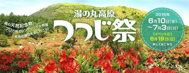 長野 湯の丸高原のレンゲツツジ 真田 東御 長野県 の旅行記 ブログ By ペコちゃんさん フォートラベル