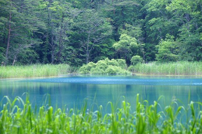 瑠璃色のラビリンス 裏磐梯五色沼 裏磐梯 猫魔 福島県 の旅行記 ブログ By J Ryuさん フォートラベル
