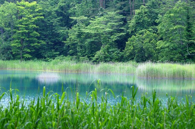 瑠璃色のラビリンス 裏磐梯五色沼 裏磐梯 猫魔 福島県 の旅行記 ブログ By J Ryuさん フォートラベル