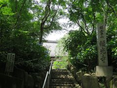 阪急電車の情報誌TOKKの特集記事を見て、６月１１日 あじさいのお花見物に兵庫県川西市・祥雲山頼光寺に行きました。