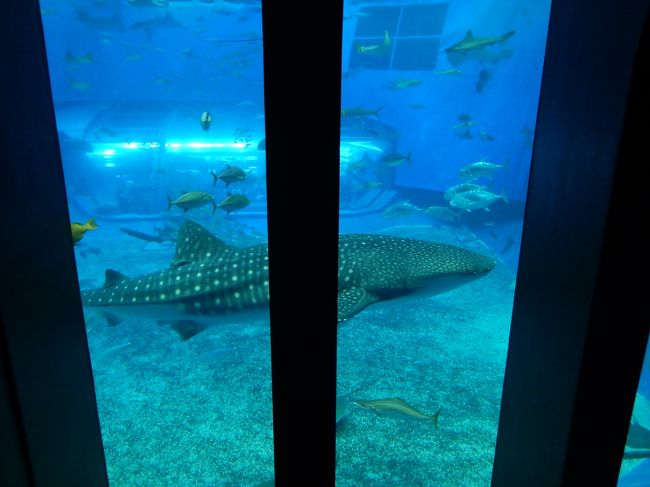 迫力がすごい。。。