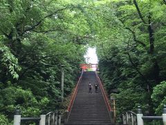 大崎八幡神社。
大石段は98段とも101段とも言われている。とのことでかぞえたら、私は98段でした。