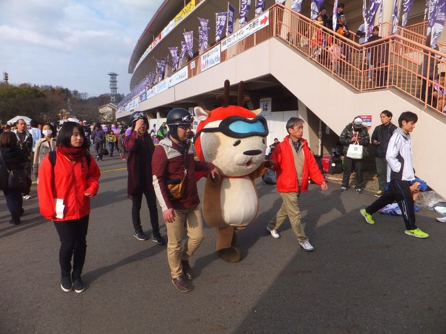 またまたゆるキャラがいました。