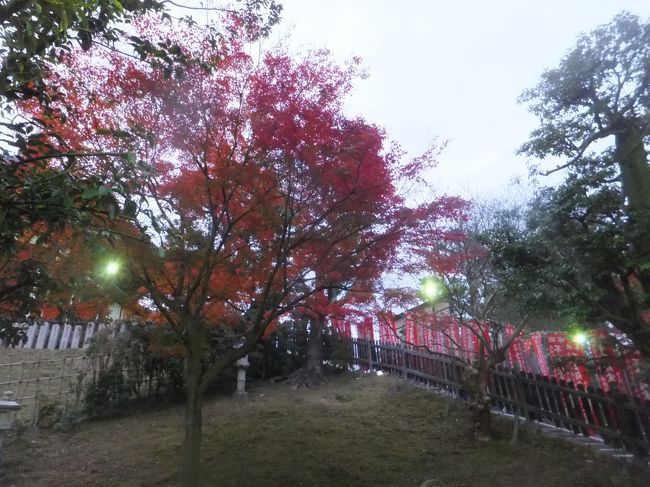 興福寺から猿沢池に抜ける途中に赤く染まった葉がありました。