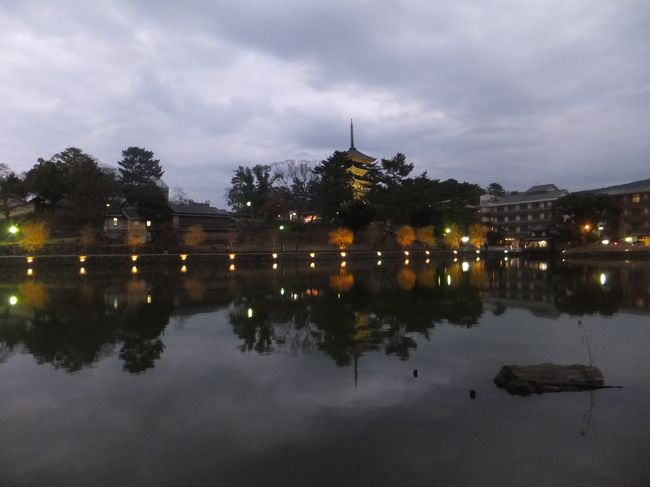 猿沢池。夕暮れでライトアップ前ですがキレイな池を見ることができました。